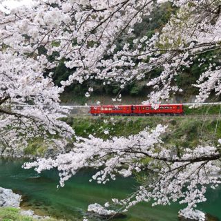 No.282　観光列車「ながら」1