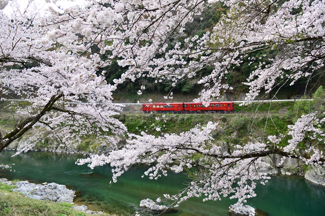 No.282　観光列車「ながら」1