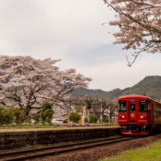 No.286　花咲く駅舎と観光列車「ながら」