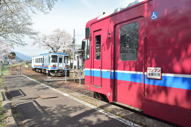 No.287　春の郡上大和駅