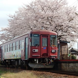 No.289　さくらとながら300形