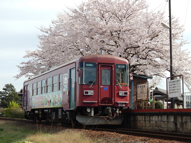 No.289　さくらとながら300形