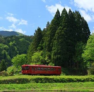 No.300　新緑の中