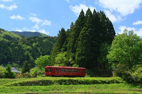 No.300　新緑の中