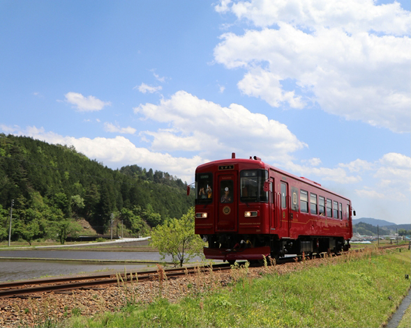 No.306　ながらを観ながら