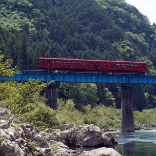 No.309　長良づくし