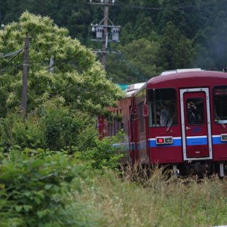 No.315　満員御礼