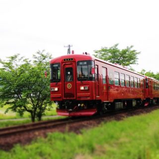 No.321　葉桜