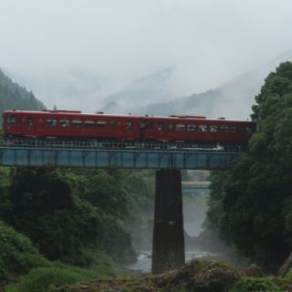 No.325　霧
