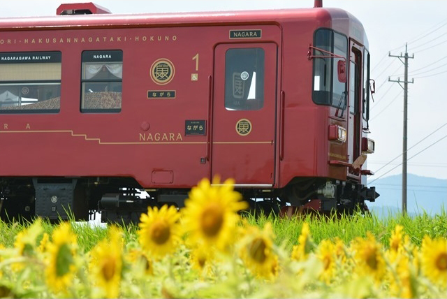 No.331　ながら通過