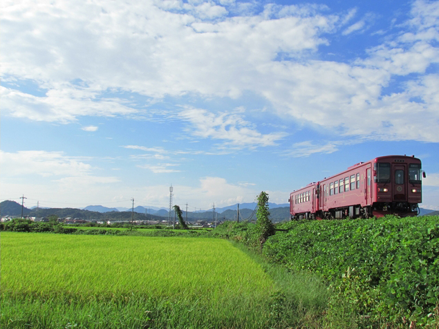 No.340　秋空の田園をゆく