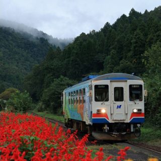 No.341　秋の湯の洞温泉口駅