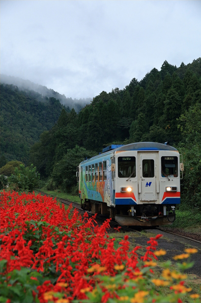 No.341　秋の湯の洞温泉口駅