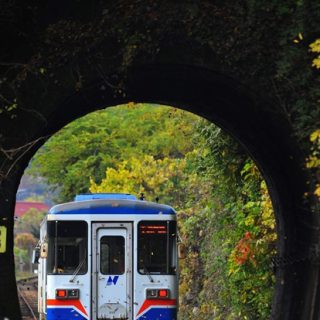 No.350　秋の終わり