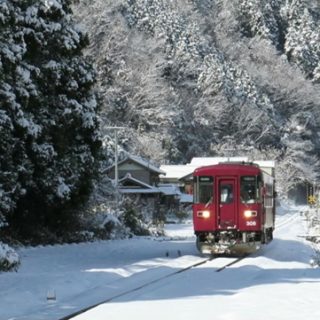 No.352　白に映える