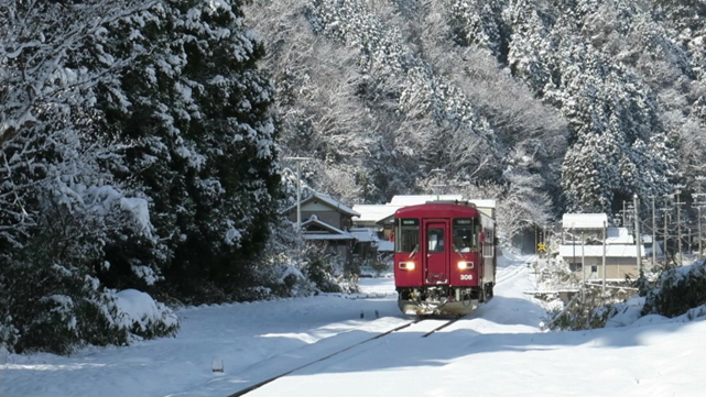 No.352　白に映える