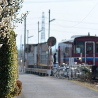 No.371　春の富岡駅2