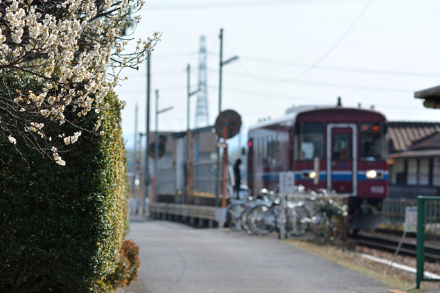 No.371　春の富岡駅2