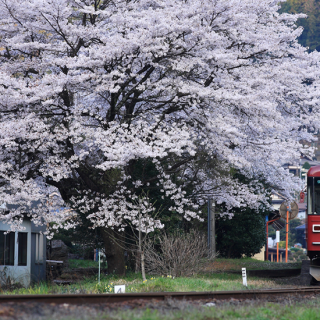 長良川鉄道