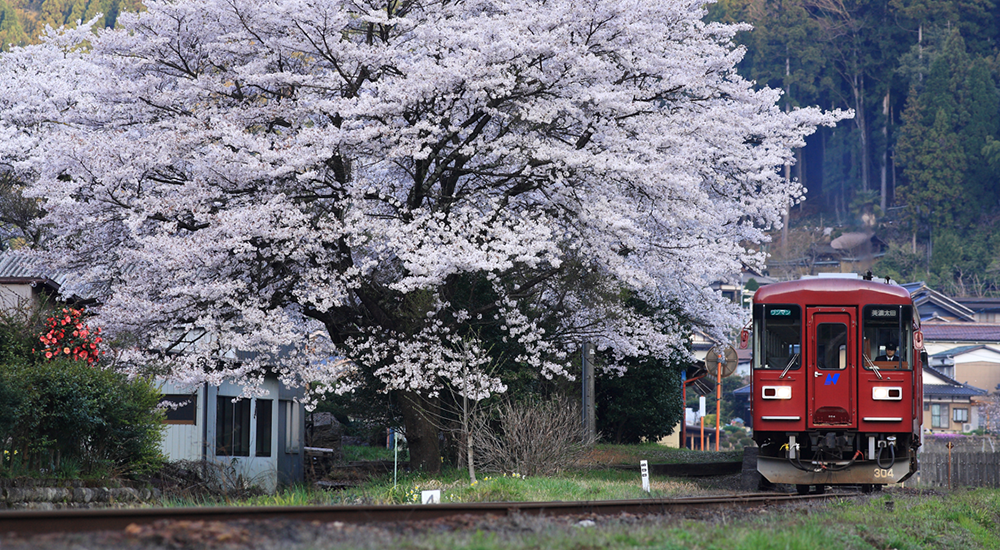 長良川鉄道