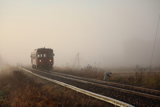 No.538　霧の長良川鉄道