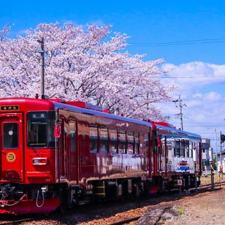 No.544　桜とながら