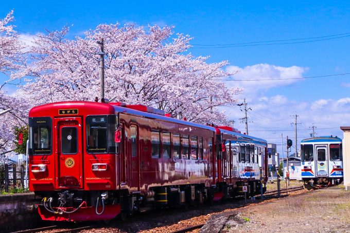 No.544　桜とながら