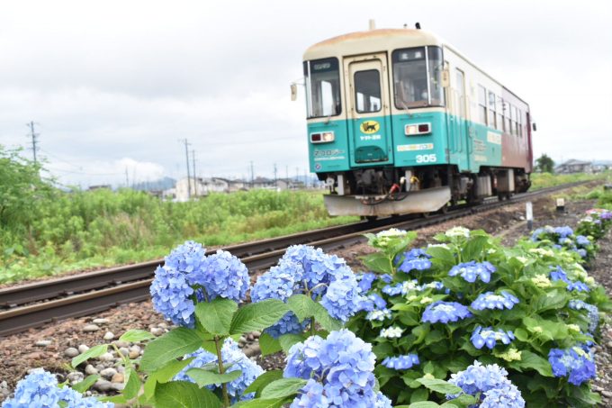 No.549　梅雨空の中を行く