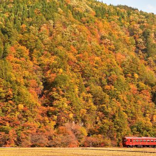 No.558　野山の錦と深紅の車両