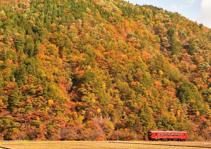 No.558　野山の錦と深紅の車両