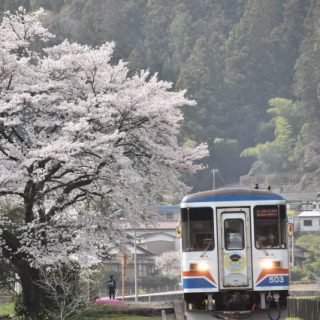 No.568　春の深戸駅