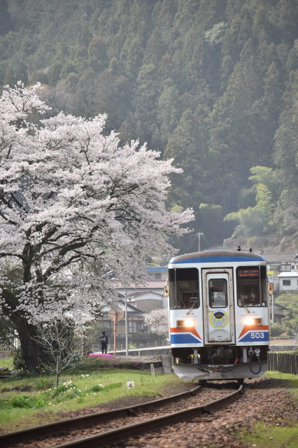 No.568　春の深戸駅