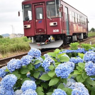 No.569　梅雨空を走る。