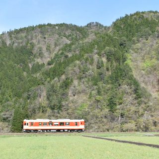 No.579　深緑の山と急行色車