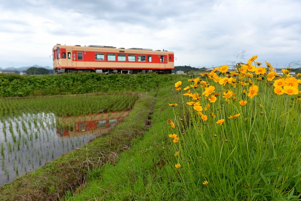 No.586　一番列車