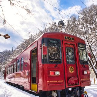 No.609　雪上の青空の下で