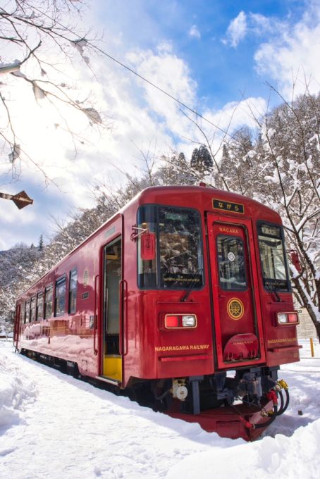 No.609　雪上の青空の下で