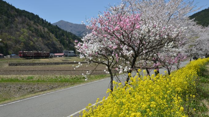 No.627　春の光に誘われて