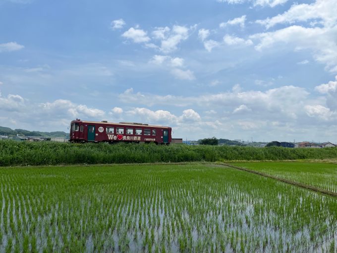 No.655　長良川河辺から鉄橋を渡るナガラ600形
