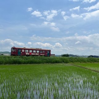 No.655　長良川河辺から鉄橋を渡るナガラ600形