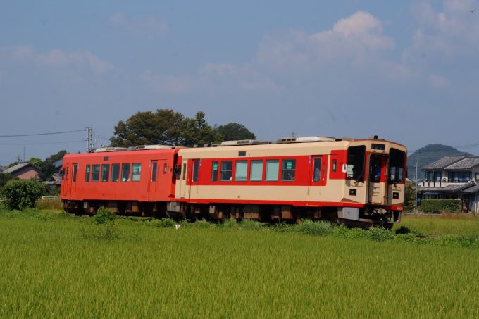 No.661　600兄弟、野を駆ける。