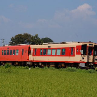 No.661　600兄弟、野を駆ける。