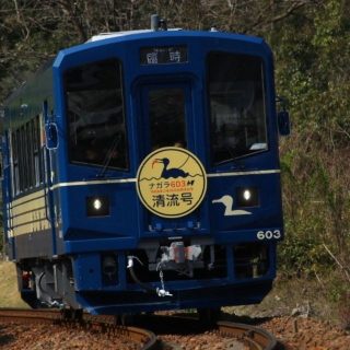 No.672　ナガラ603デビュー！