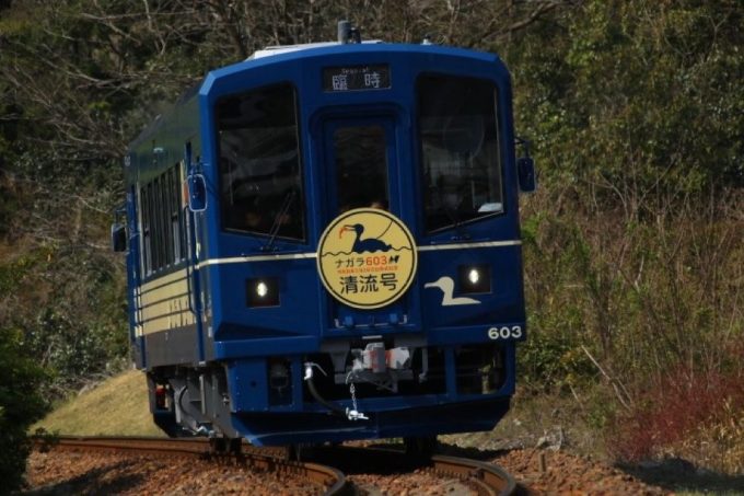 No.672　ナガラ603デビュー！