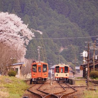 No.674　昭和101年春