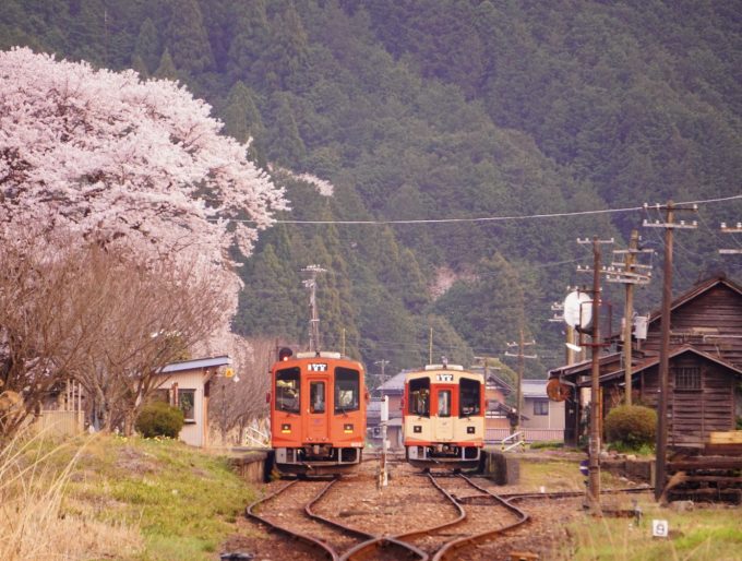 No.674　昭和101年春